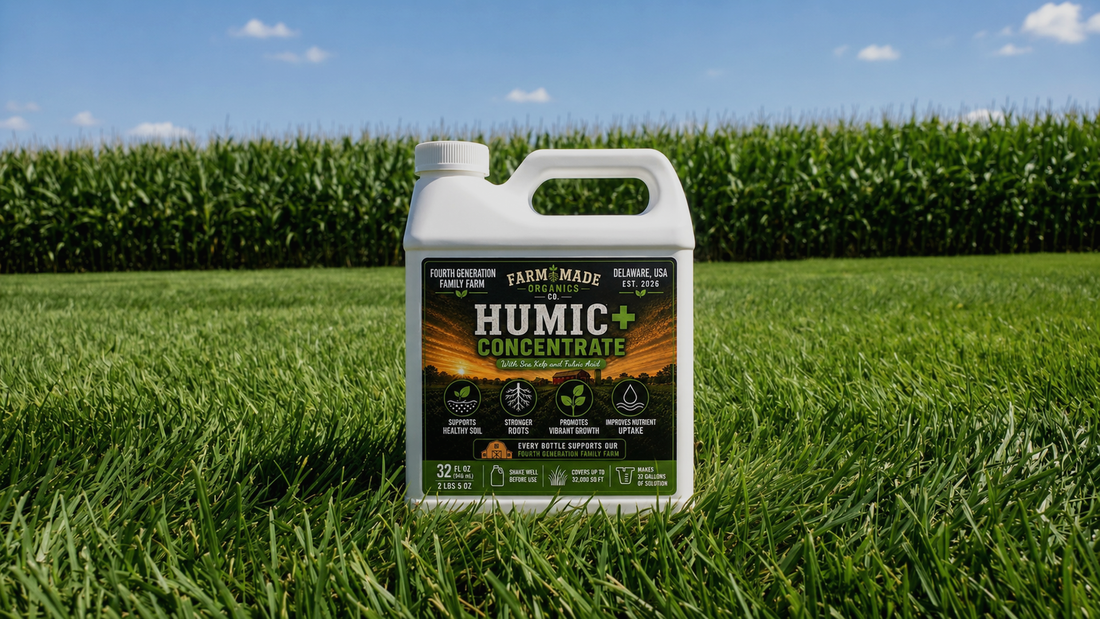 A jug of Humic+ Concentrate sitting in mown grass at the edge of a green cornfield on a Delaware family farm