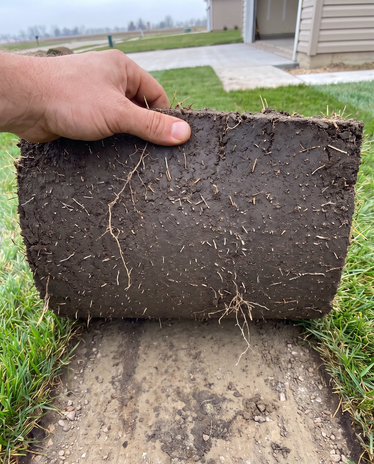 A bare hand lifting the edge of freshly laid sod, showing the sliced underside and the graded soil beneath